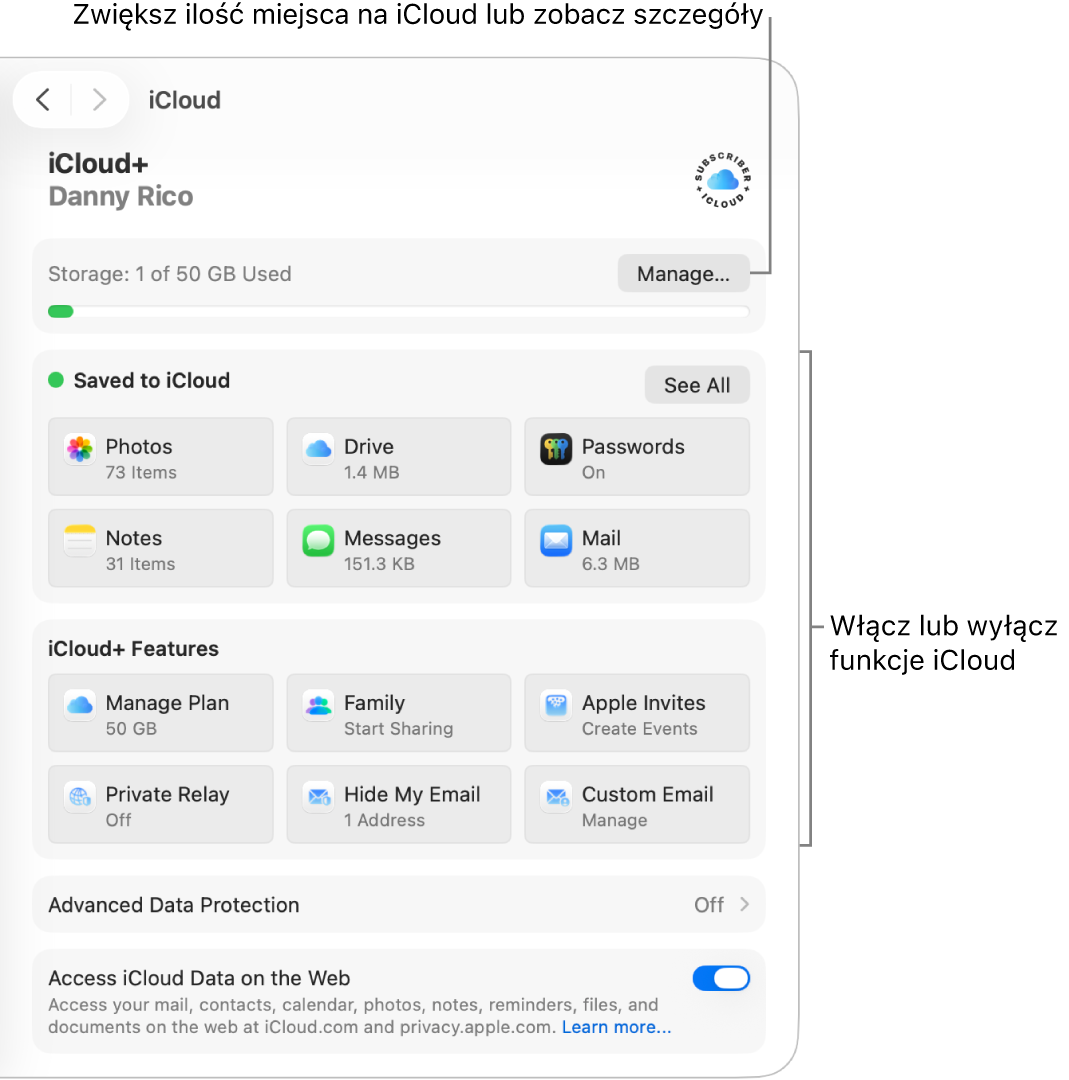 Ustawienia iCloud dla najczęściej używanych funkcji.
