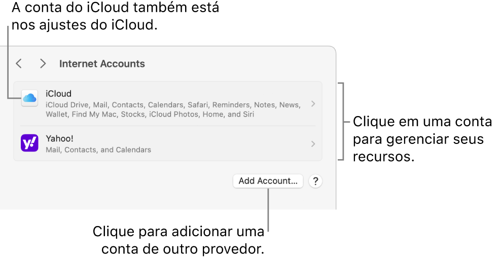 Os ajustes de Contas de Internet, com a lista das contas que estão configuradas no Mac.