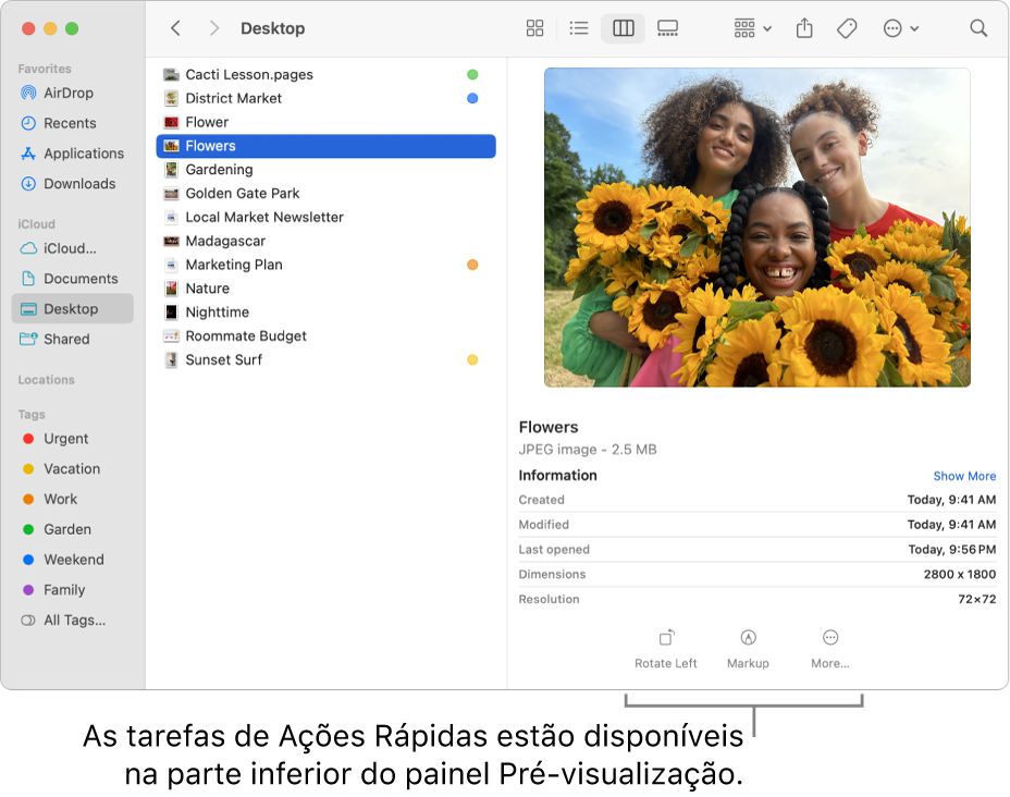 Parte inferior do painel de Pré-visualização mostrando os botões de Ações Rápidas.