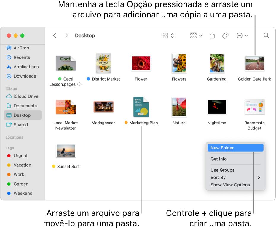 Janela do Finder contendo arquivos e pastas. No menu de atalho, Nova Pasta está destacado.