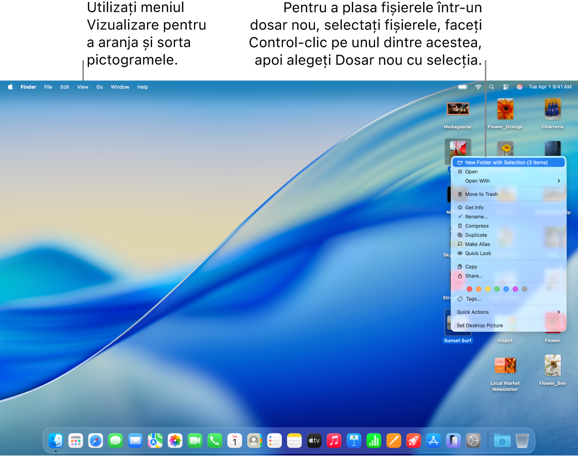 Un desktop care afișează fișiere și dosare. Mai multe fișiere sunt selectate pentru a fi plasate într‑un dosar nou. Apare meniul pop‑up AA pentru un fișier selectat, cu opțiunea „Dosar nou cu selecția” aleasă.