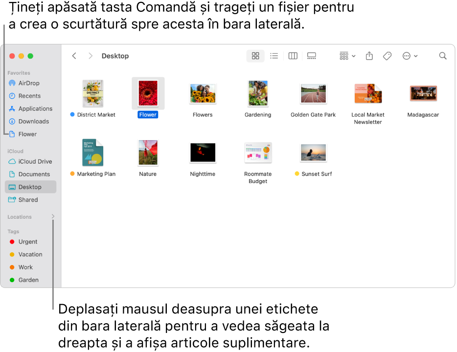 La dreapta opțiunii Amplasamente în bara laterală Finder se află o săgeată pe care puteți face clic pentru a afișa articole suplimentare. În partea dreaptă a ferestrei Finder este selectat un fișier și o scurtătură spre fișier se află în bara laterală, sub Favorite.