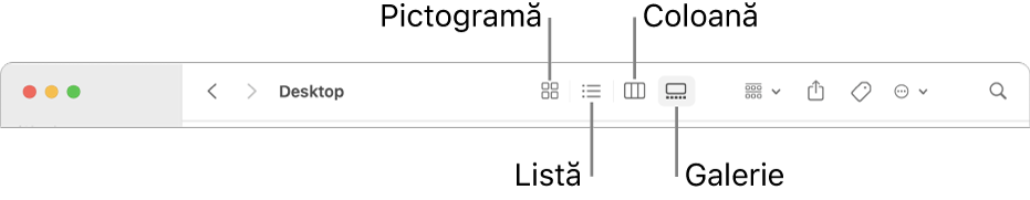 Partea de sus a unei ferestre Finder afișând butoanele „Opțiuni de vizualizare” pentru un dosar.