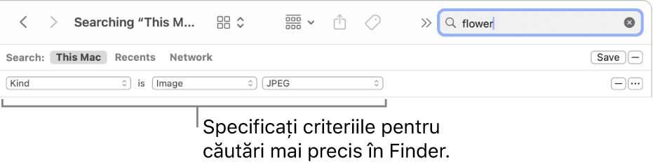O fereastră Finder cu câmpuri pentru specificarea criteriilor de căutare.