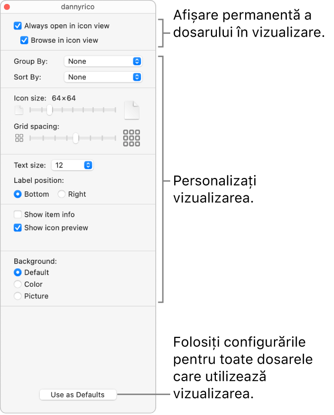 Opțiunile de vizualizare Pictogramă pentru un dosar.
