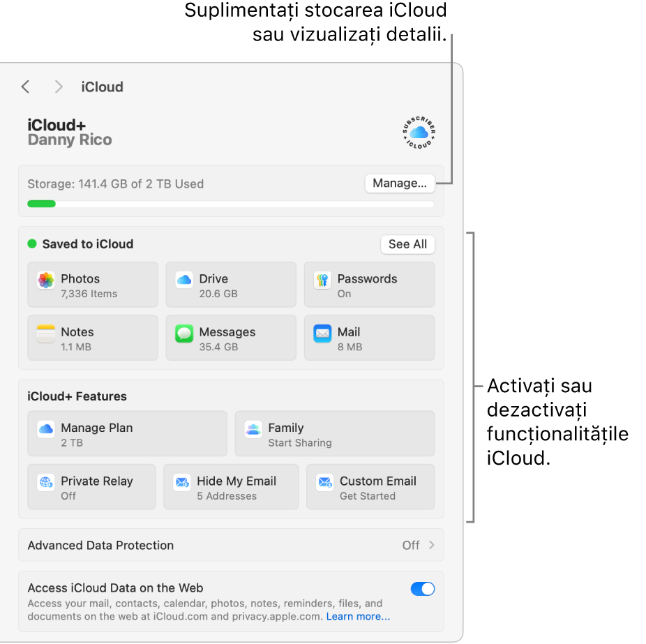 Configurările iCloud cu toate funcționalitățile activate.