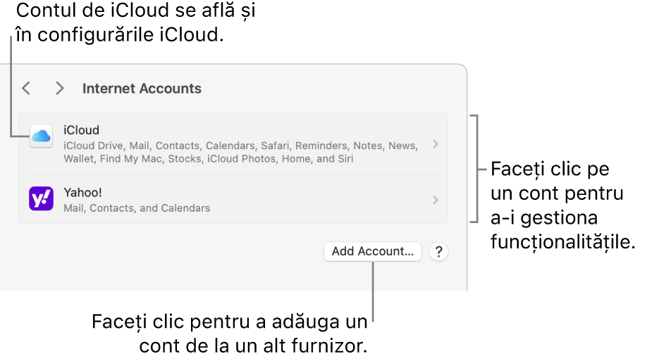 Configurările Conturi internet cu lista de conturi configurate pe Mac.