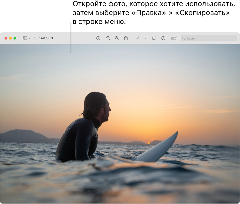 В приложении «Просмотр» показано изображение для копирования.