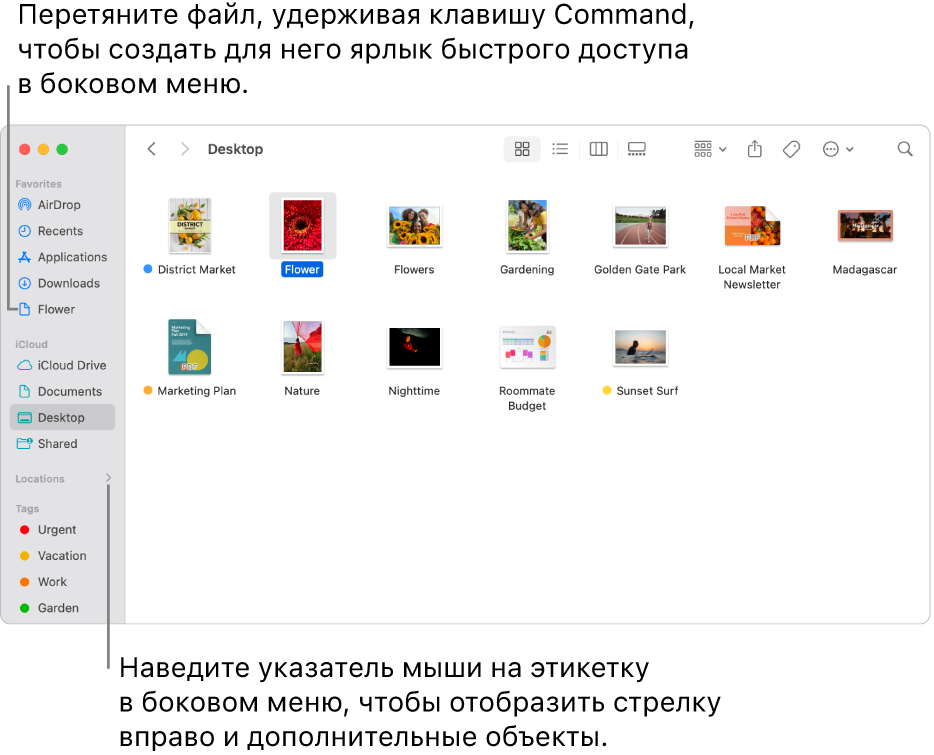Справа от раздела «Места» в боковом меню Finder отображается стрелка, нажатие на которую показывает дополнительные объекты. В окне Finder справа выбран файл, и в боковом меню в разделе «Избранное» отображается ярлык файла.