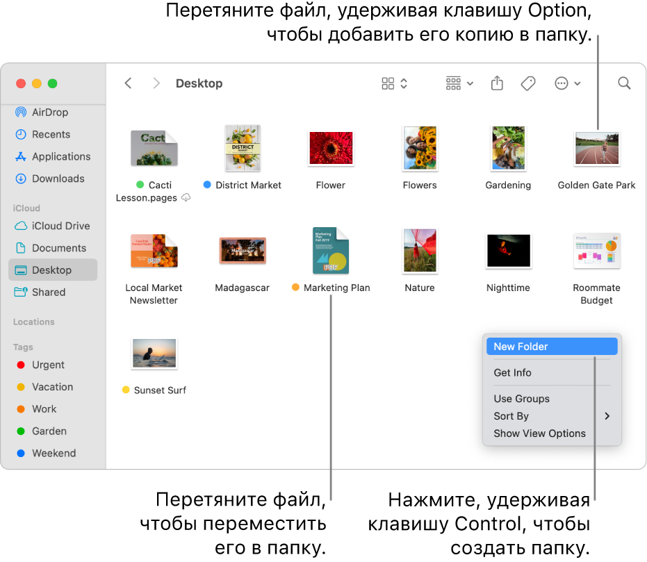 Показано окно Finder, в котором содержатся файлы и папки. В контекстном меню выделено «Новая папка».
