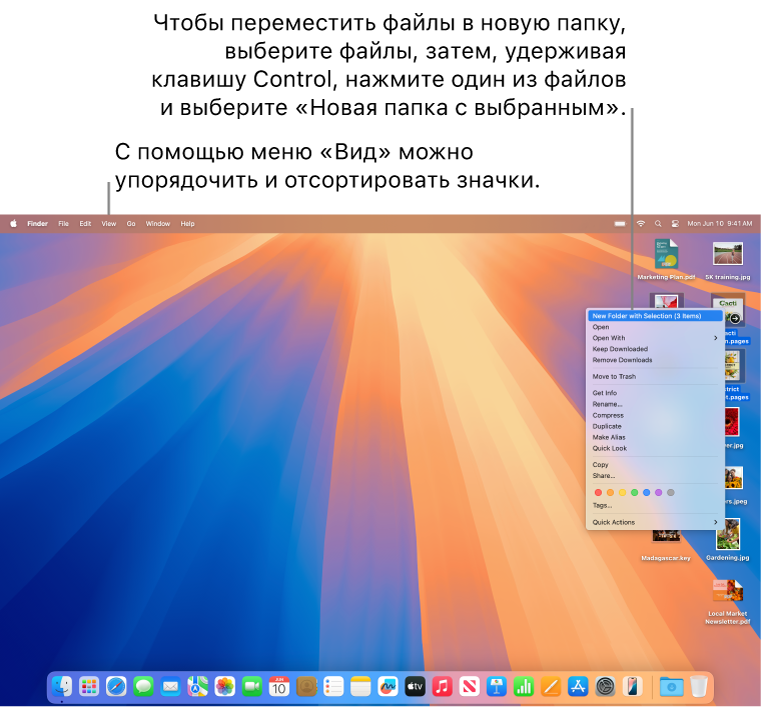 На рабочем столе показаны файлы и папки. Выбрано несколько файлов для добавления в новую папку. После нажатия на выбранный файл при нажатой клавише Control было показано всплывающее меню, в котором выбран вариант «Новая папка с выбранным».