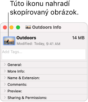 Okno Informácie pre priečinok zobrazujúce všeobecnú ikonu nahradenú obrázkom.
