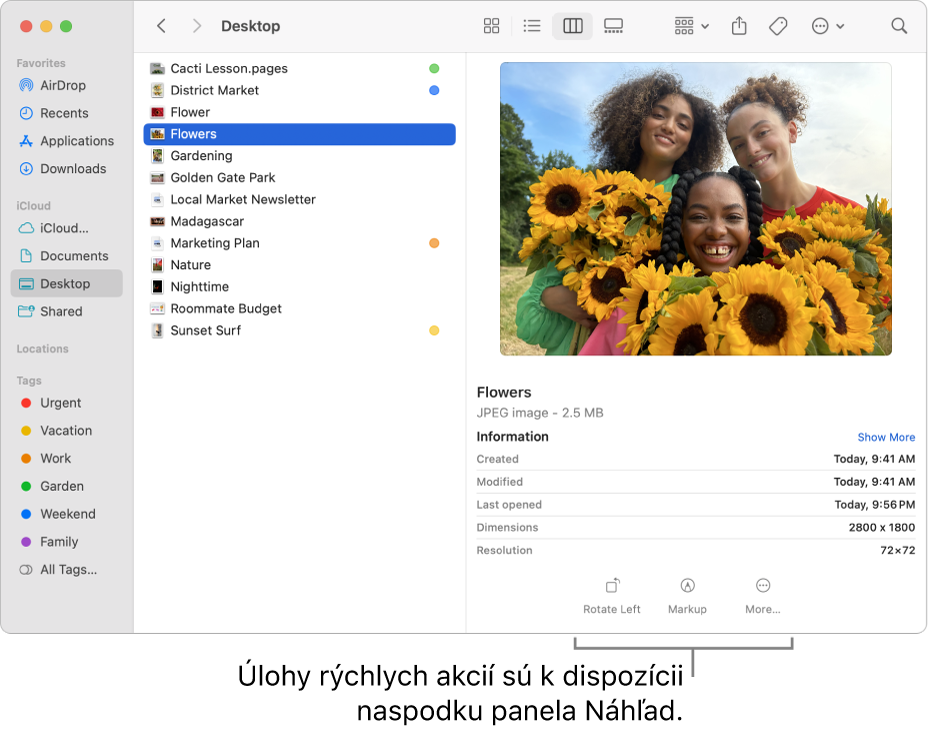Spodná časť panela Náhľad znázorňujúca tlačidlá Rýchle akcie.