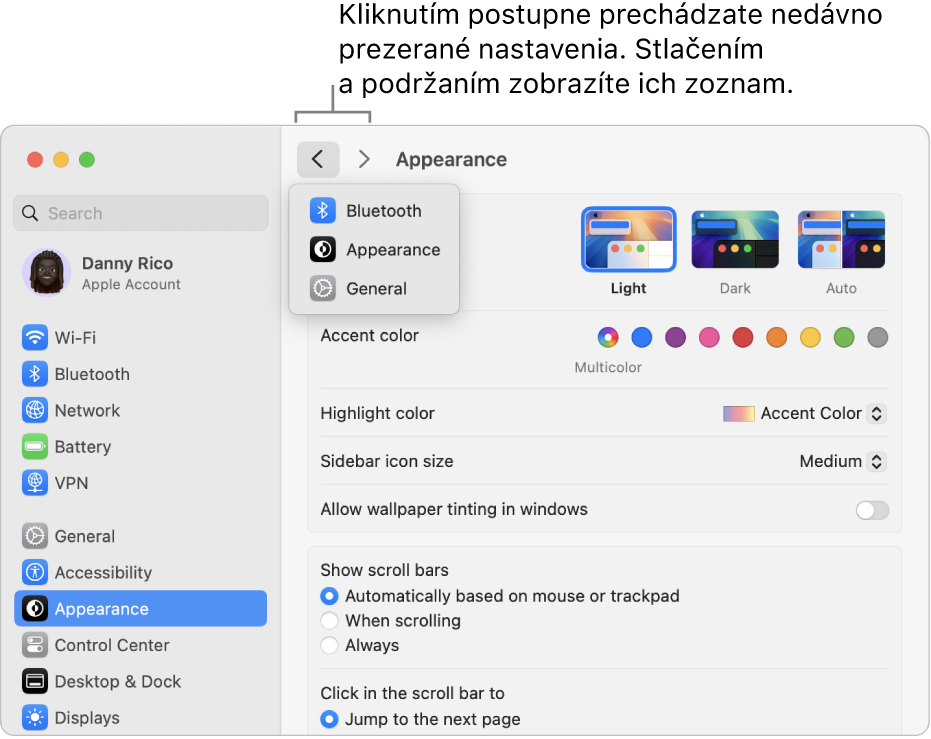 Okno Systémové nastavenia zobrazujúce nedávno zobrazené nastavenia pod tlačidlom Späť.