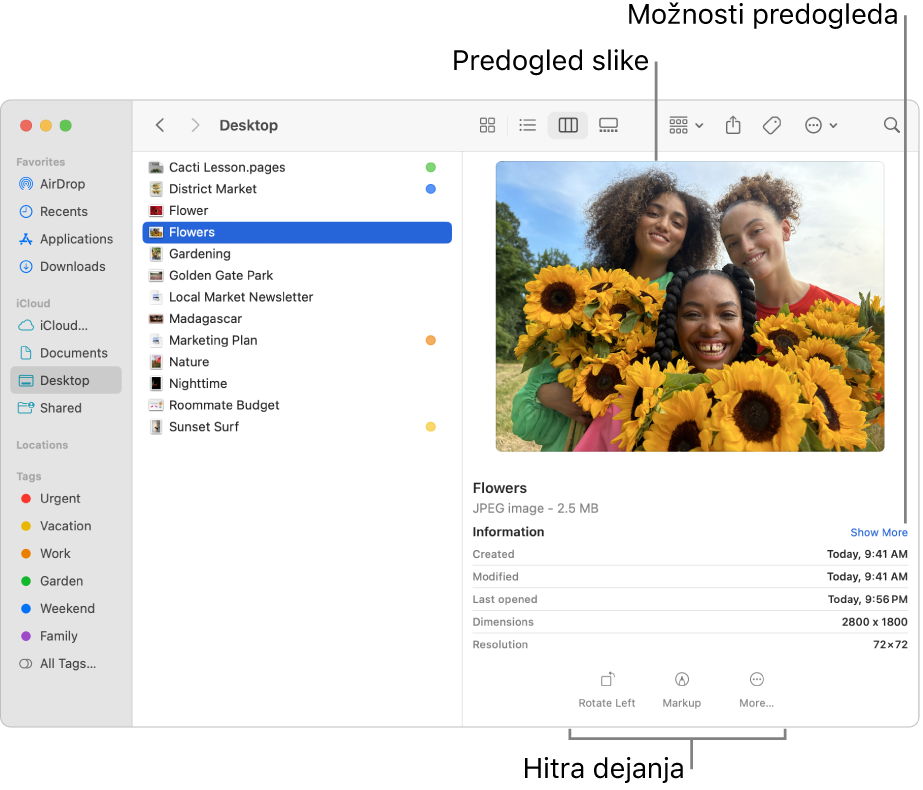 Okno aplikacije Finder, ki prikazuje stransko vrstico aplikacije Finder na levi in izbrano slikovno datoteko na sredini okna. Podokno za predogled na desni prikazuje, kako je videti slika, spodaj so navedene podrobnosti slike, na dnu pa gumbi Hitra dejanja.