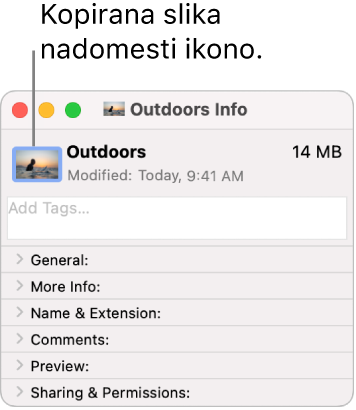 Okno z informacijami za mapo, ki prikazuje splošno ikono, zamenjano s sliko.
