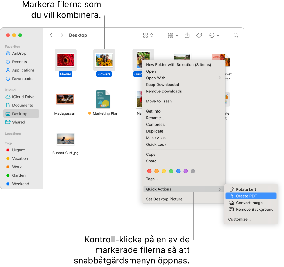 Ett Finder-fönster som innehåller filer och mappar. Tre filer är markerade och Skapa PDF är markerat i snabbåtgärdsmenyn.