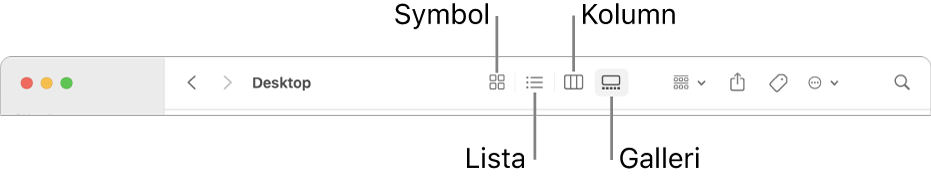 Ovandelen av ett Finder-fönster med vyknappar för en mapp.