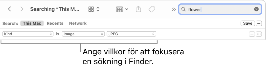 Ett Finder-fönster med fält för att ange sökvillkor.
