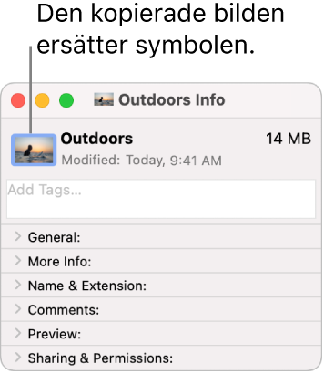 Infofönstret med en mapp som visar den generiska symbolen som ersatts med en bild.
