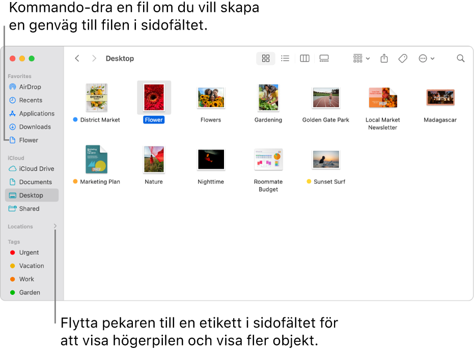 Till höger om Platser i Finder-sidofältet finns en pil som du kan klicka på om du vill se fler objekt. En fil markeras till höger i Finder-fönstret och en genväg till filen finns i sidofältet nedanför Favoriter.