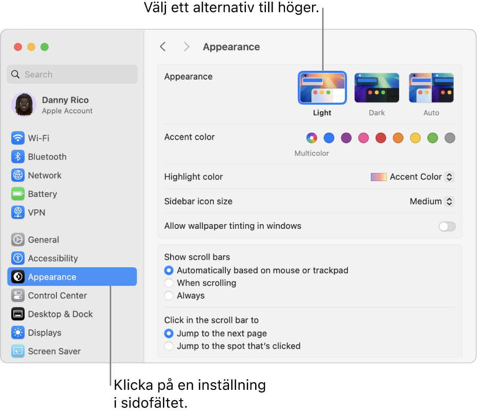 Fönstret Systeminställningar med inställningarna Utseende markerade i sidofältet och alternativen för Utseende till höger.