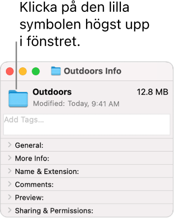 Infofönstret med en mapp som visar den generiska symbolen för mappen som markerats.