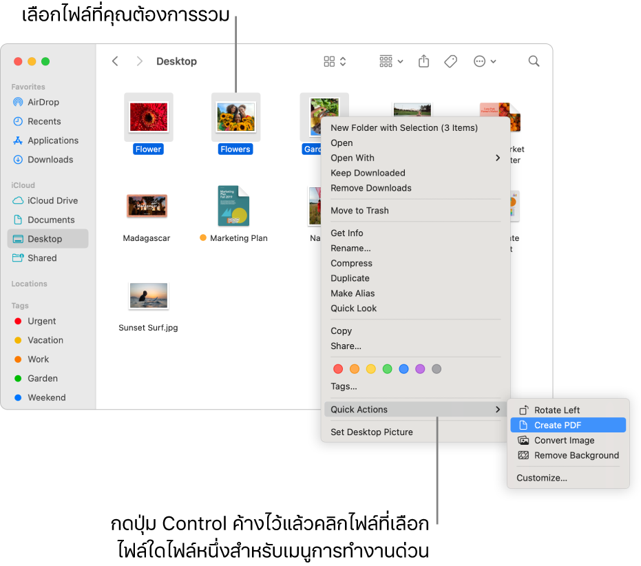 หน้าต่าง Finder ที่มีไฟล์และโฟลเดอร์ ซึ่งมีสามไฟล์ถูกเลือกอยู่และสร้าง PDF ถูกไฮไลท์อยู่ในเมนูการทำงานด่วน