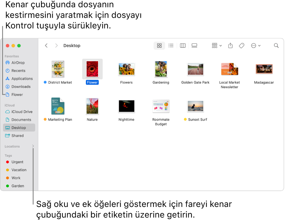Finder kenar çubuğundaki Konumlar’ın sağ tarafında ek öğeleri göstermek için tıklayabileceğiniz bir ok var. Sağdaki Finder penceresinde bir dosya seçili ve kenar çubuğundaki Favoriler’in alt tarafında dosyanın bir kestirmesi var.