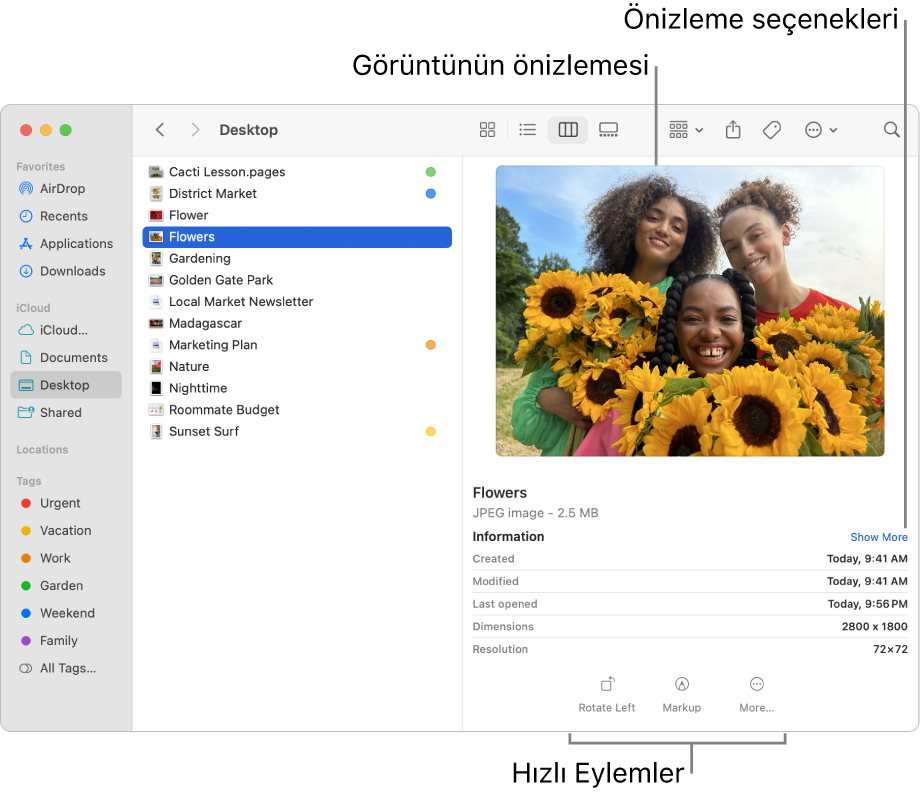 Solda Finder kenar çubuğunu ve pencerenin ortasında seçili bir görüntü dosyasını gösteren Finder penceresi. Sağ taraftaki Önizleme bölümü görüntünün neye benzediğini, bunun altında görüntü ayrıntılarını ve en altta da Hızlı Eylemler düğmelerini gösteriyor.