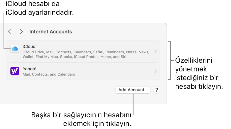 Mac’te ayarlanan hesaplar listelenmiş olarak İnternet Hesapları ayarları.
