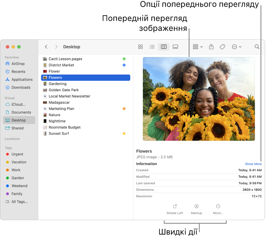 Вікно Finder з бічною панеллю Finder ліворуч і вибраним файлом зображення посередині вікна. Праворуч на панелі мініатюр відображається мініатюра зображення, під нею — деталі файлу, а внизу — кнопки швидких дій.