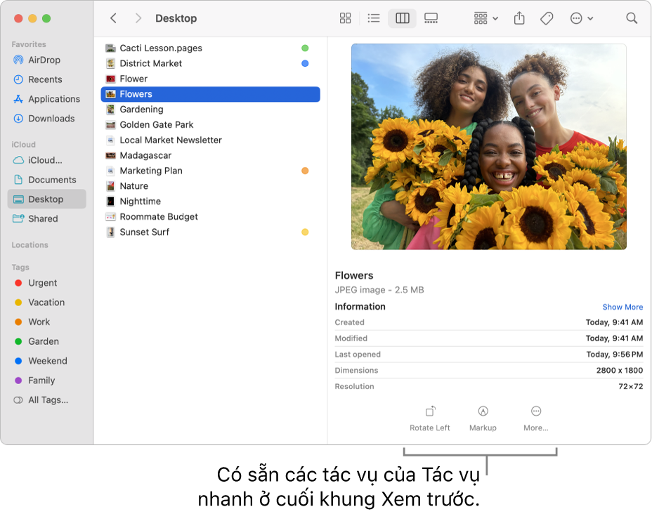 Cuối khung Xem trước đang hiển thị các nút Tác vụ nhanh.
