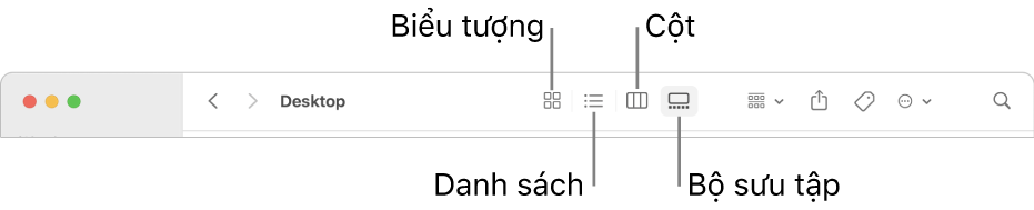 Đầu cửa sổ Finder đang hiển thị các nút tùy chọn Xem cho thư mục.
