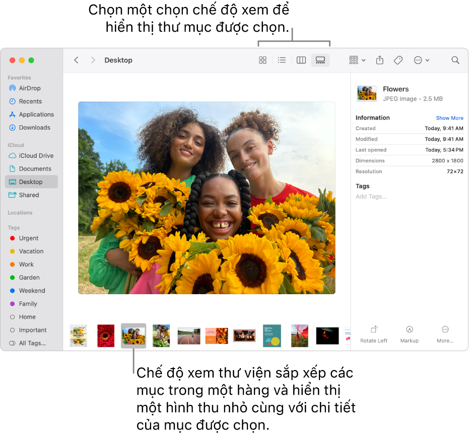 Cửa sổ Finder đang hiển thị thanh bên Finder ở bên trái và một tệp hình ảnh được chọn ở dưới cùng của cửa sổ. Ở giữa, khung Xem trước hiển thị giao diện hình ảnh, với thông tin chi tiết về hình ảnh và các nút Tác vụ nhanh ở bên phải.
