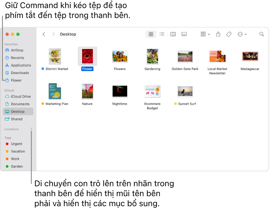 Ở bên phải của Vị trí trong thanh bên Finder là mũi tên để bấm nhằm hiển thị các mục bổ sung. Trong cửa sổ Finder ở bên phải, một tệp được chọn, và một phím tắt đến tệp nằm trong thanh bên, bên dưới Mục ưa thích.