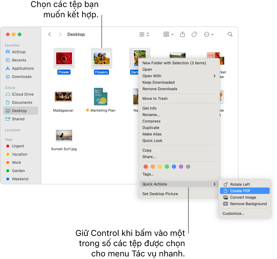 Cửa sổ Finder chứa các tệp và thư mục, nơi ba tệp được chọn, và Tạo tài liệu PDF được tô sáng trong menu Tác vụ nhanh.