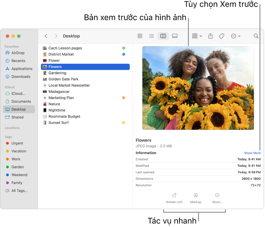 Cửa sổ Finder đang hiển thị thanh bên Finder ở bên trái và một tệp hình ảnh được chọn ở giữa của cửa sổ. Ở bên phải, khung Xem trước hiển thị giao diện hình ảnh, với thông tin chi tiết về hình ảnh ở bên dưới và các nút Tác vụ nhanh ở dưới cùng.