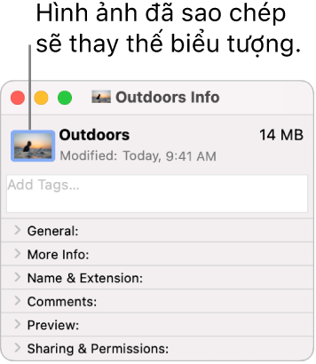 Cửa sổ Thông tin cho thư mục, đang hiển thị biểu tượng chung được thay thế bằng hình ảnh.