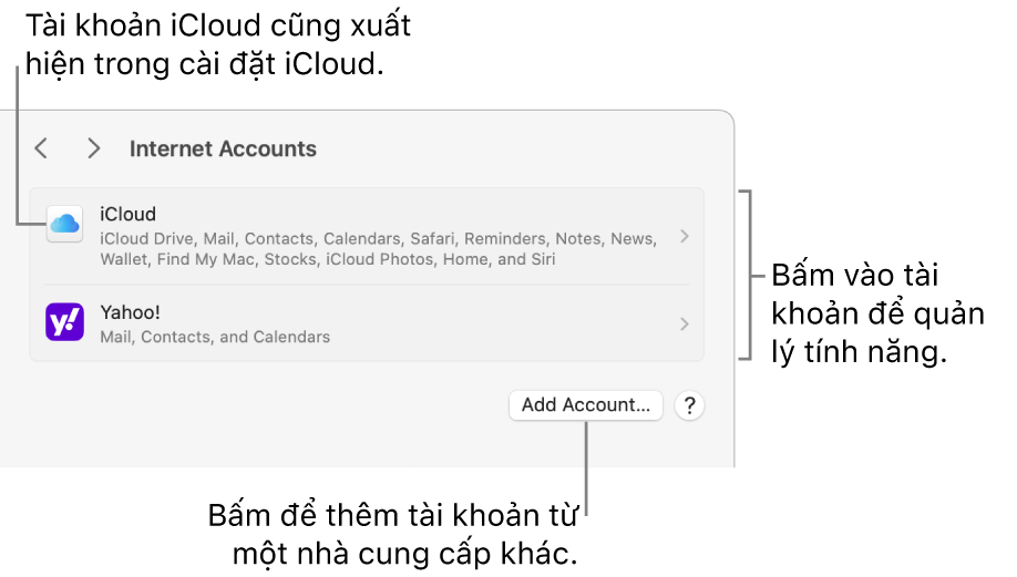 Cài đặt Tài khoản internet với các tài khoản được thiết lập trên máy Mac được liệt kê.