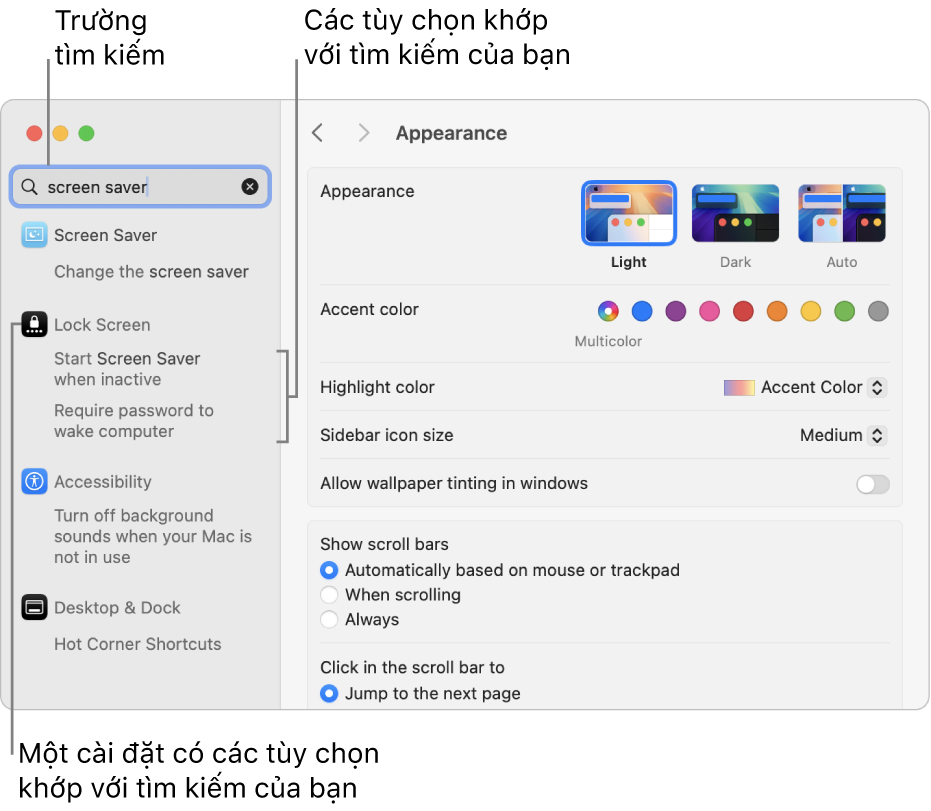 Cửa sổ Cài đặt hệ thống đang hiển thị “trình bảo vệ màn hình” trong trường tìm kiếm và danh sách các kết quả tìm kiếm phù hợp bên dưới trường tìm kiếm.