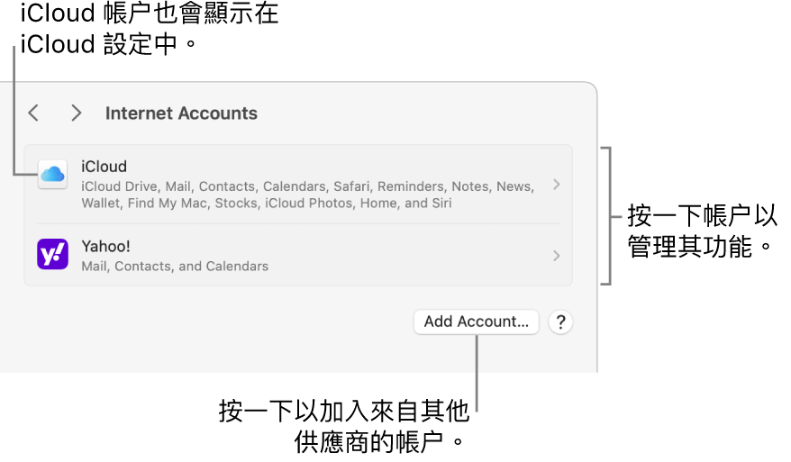 「互聯網帳户」設定,其中列出已在 Mac 上設定的帳户。