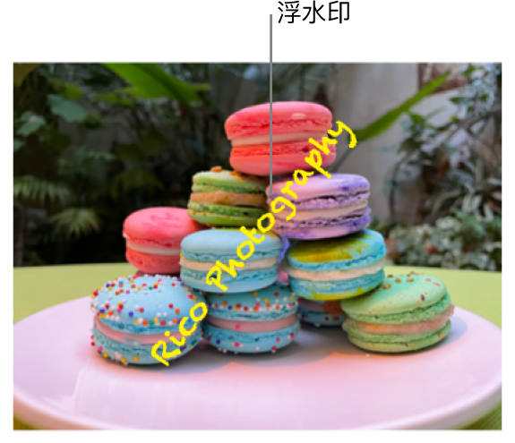相片顯示寫著「Rico Photography」的文字浮水印，其打斜出現在相片上。