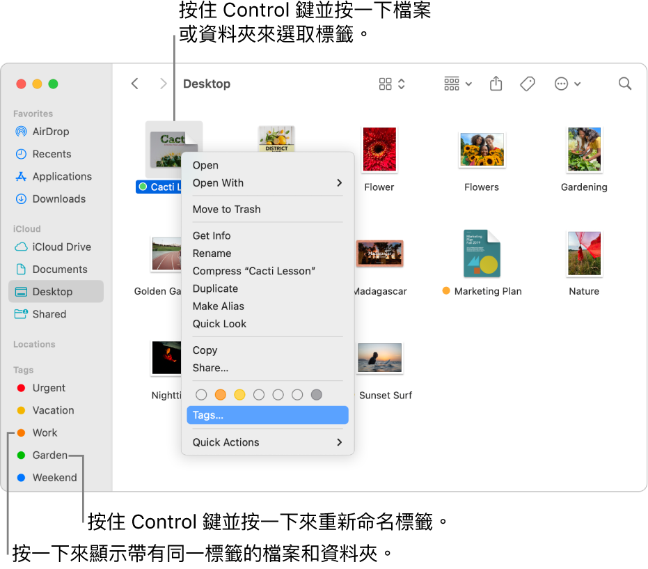 Finder 視窗中包含已標籤的檔案和資料夾，並已選擇一個檔案。 在捷徑選單中，有標籤的顏色選項，且「標籤」被螢光標示。