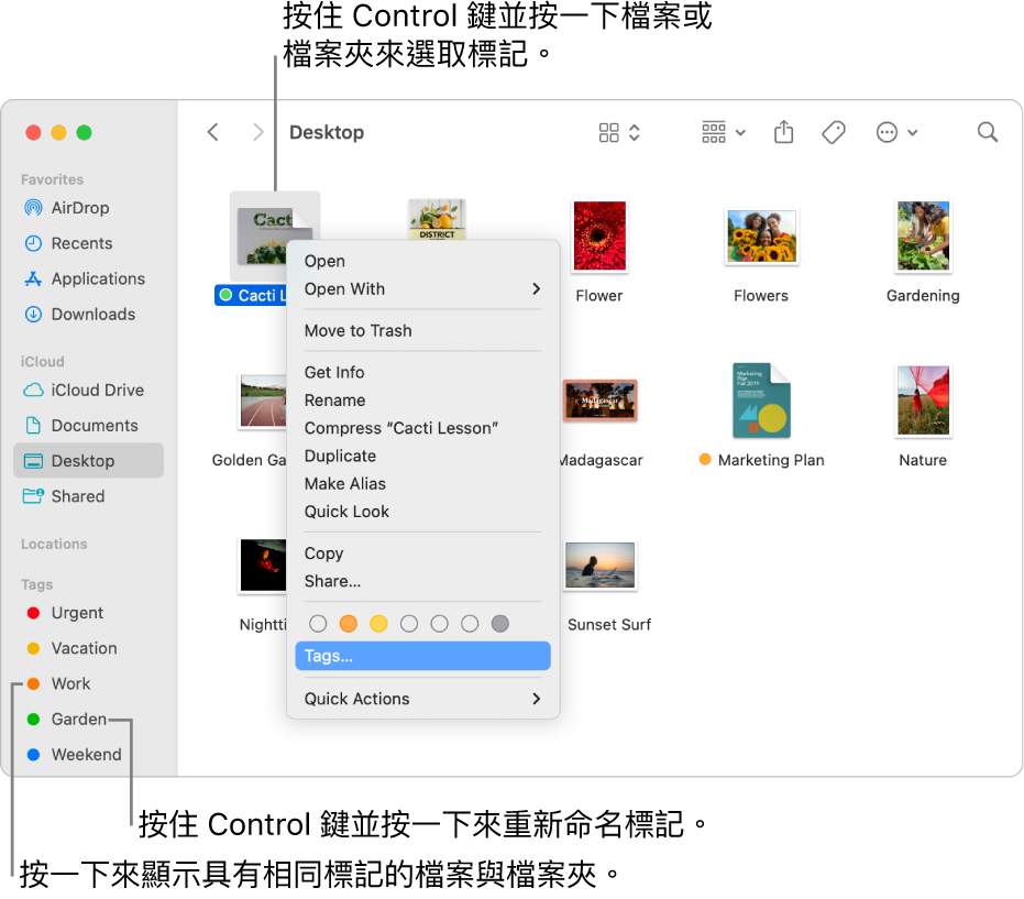 包含已加入標籤之檔案和檔案夾的 Finder 視窗，已選取檔案。在快速鍵選單中有標籤的顏色可供選擇，「標籤」已重點標示。