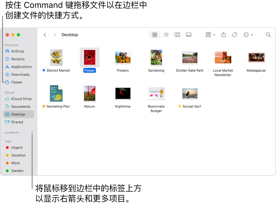 “访达”边栏中“位置”的右侧是一个箭头,可供点按以显示更多项目。在右侧的“访达”窗口中,文件被选中,文件的快捷方式(位于“个人收藏”下方)显示在边栏中。
