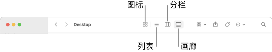 “访达”工具栏显示文件夹的“显示”选项按钮。