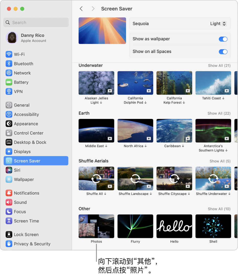 “系统设置”窗口的边栏中已选中“墙纸”设置,窗口底部显示“其他”屏幕保护程序的类别。