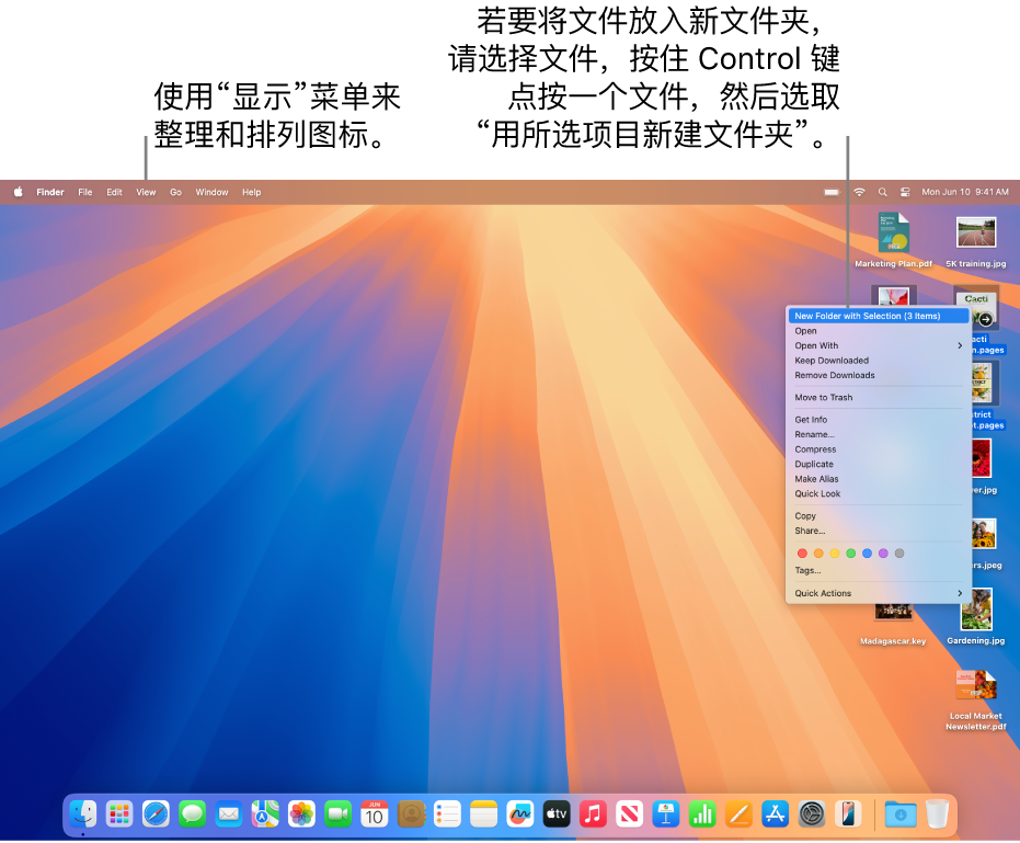 显示文件和文件夹的桌面。多个文件被选中并放入新文件夹。按住 Control 键点按所选文件后显示弹出式菜单,其中“用所选项目新建文件夹”被选中。