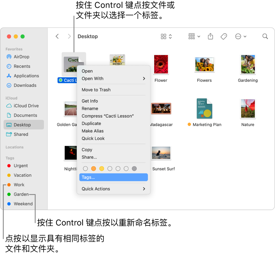 包含添加有标签的文件和文件夹的“访达”窗口，其中一个文件被选中。快捷键菜单中包含可供选择的各种颜色标签，且“标签”已高亮标记。